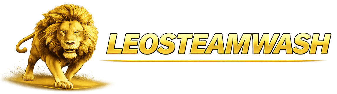 Leo Steam Studio Logo